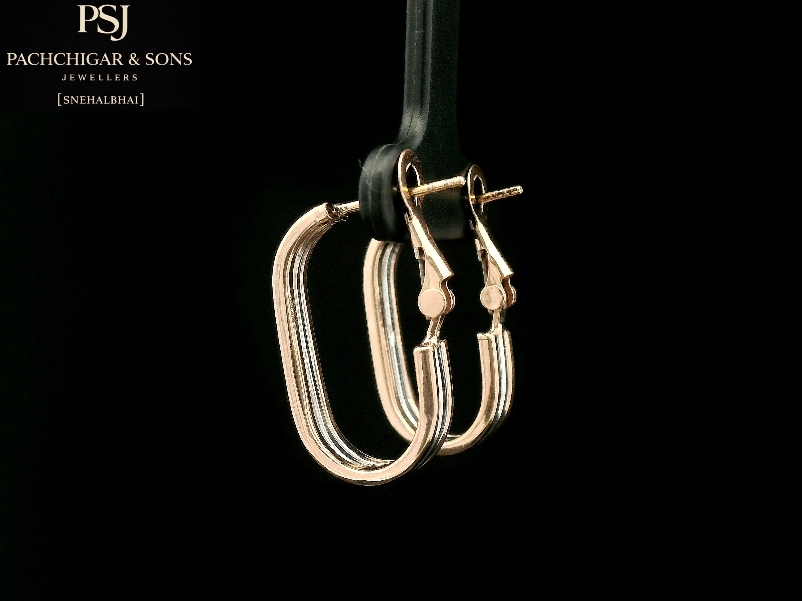 Dual Tone Oval Hoop Earrings