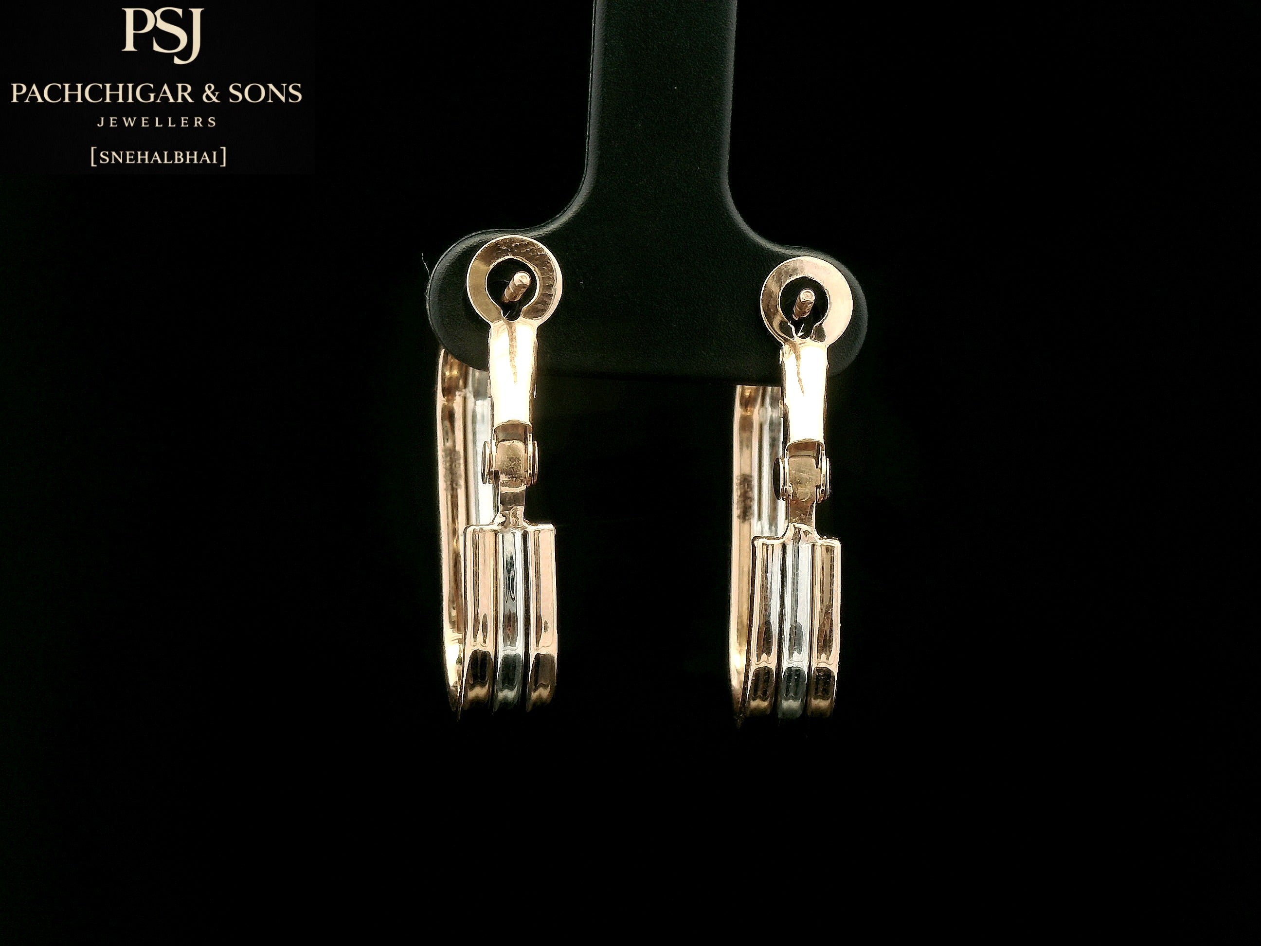Dual Tone Oval Hoop Earrings