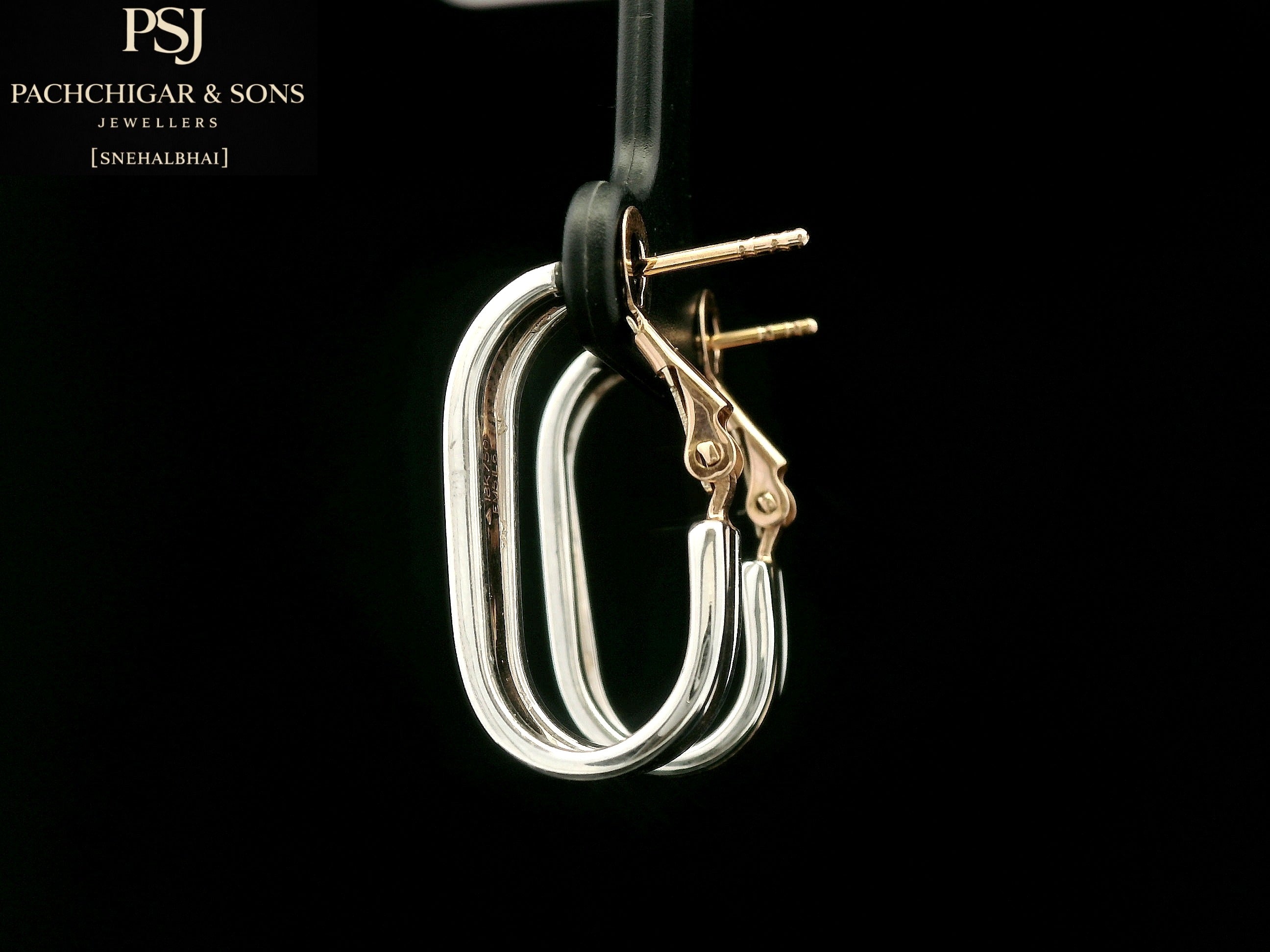 Two Tone Hoop Earrings
