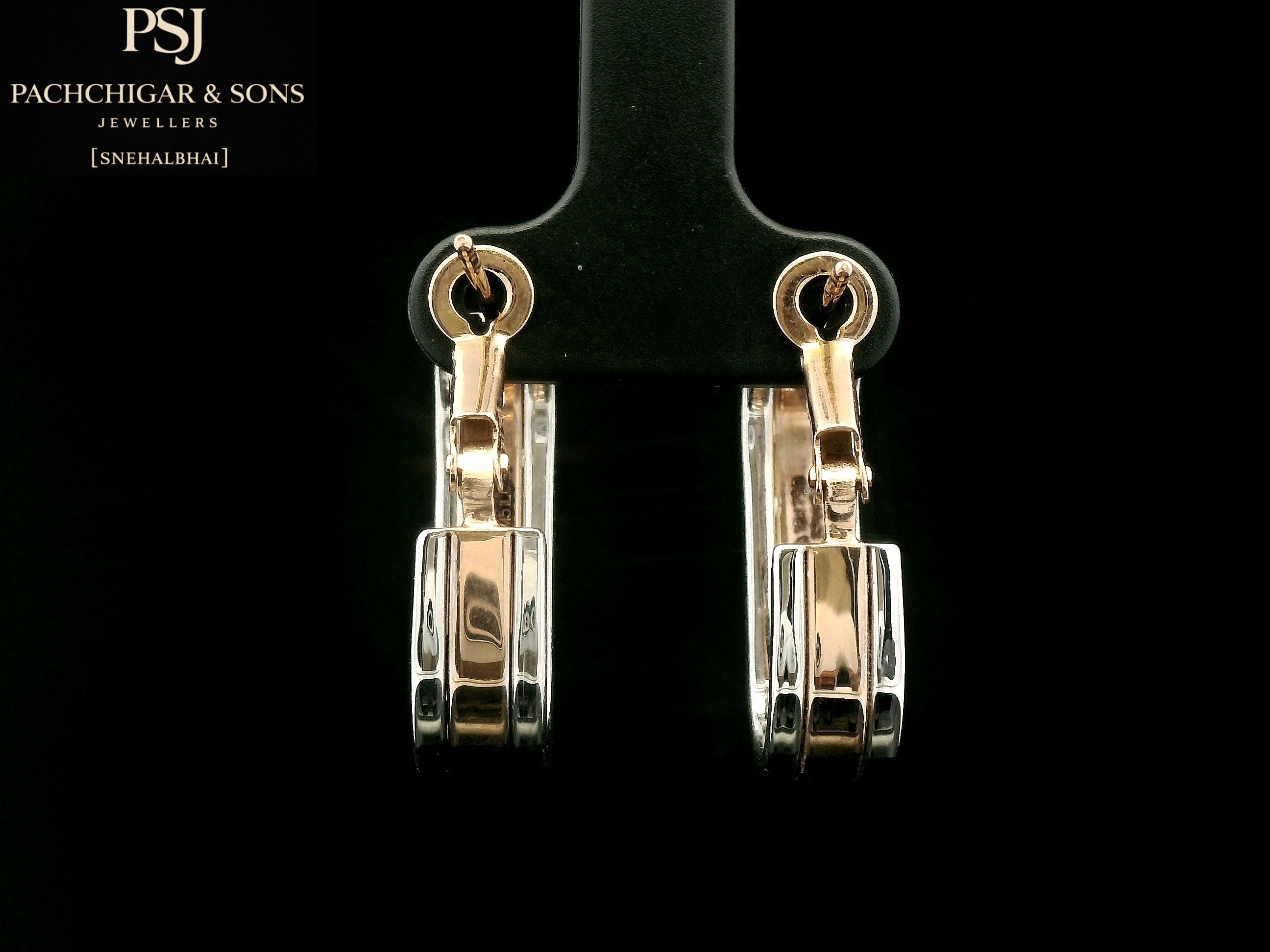Two Tone Hoop Earrings