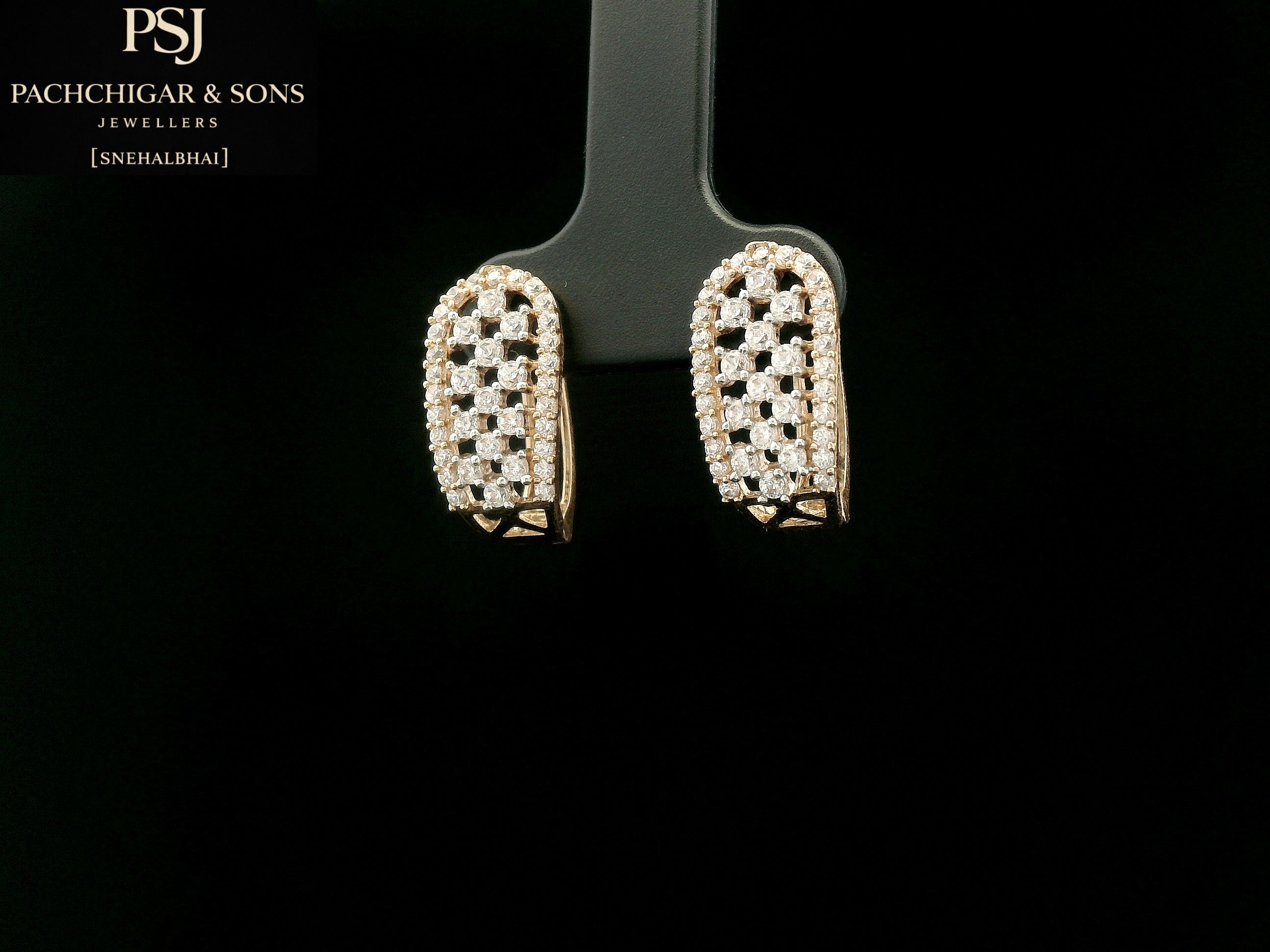 Diamond Mesh Hoop Earrings