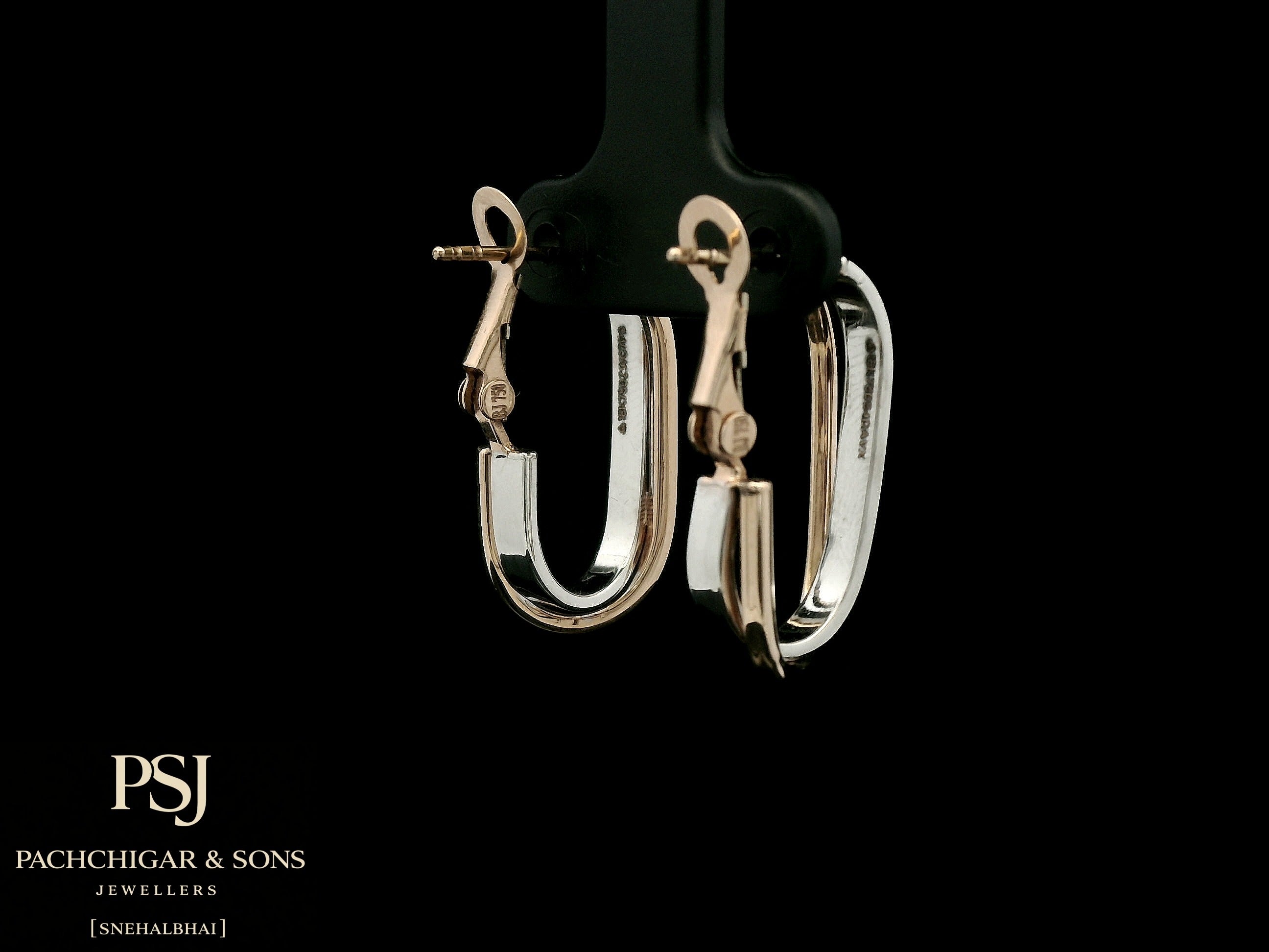 Sleek Dual Tone Oval Hoop Earrings
