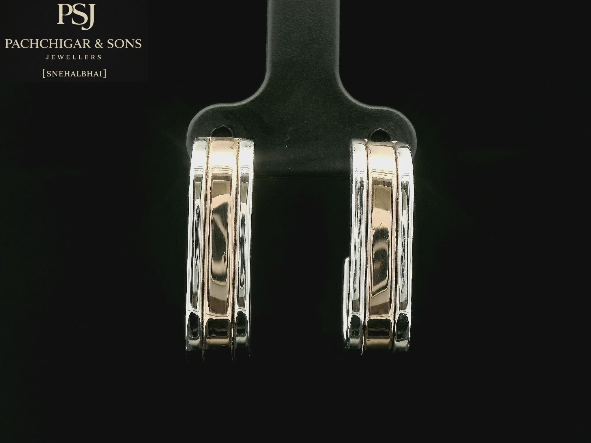 Two Tone Hoop Earrings